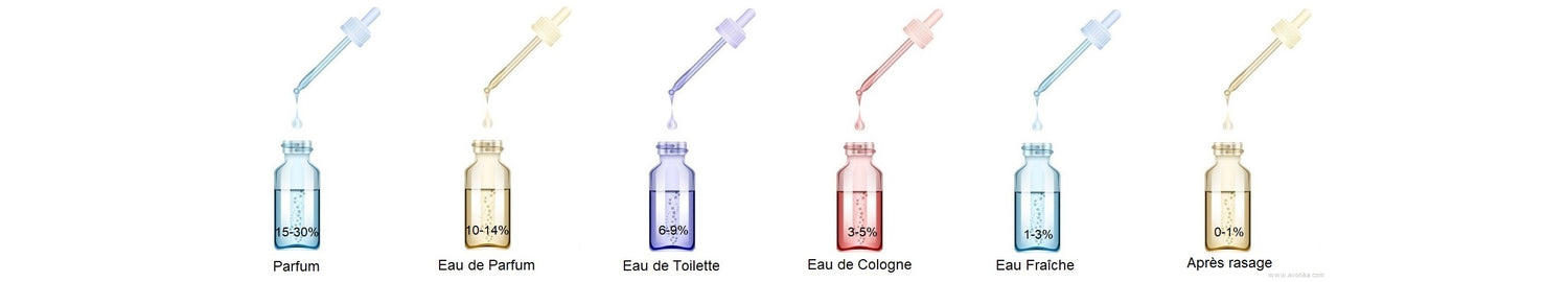 Différence de dosage entre les parfums