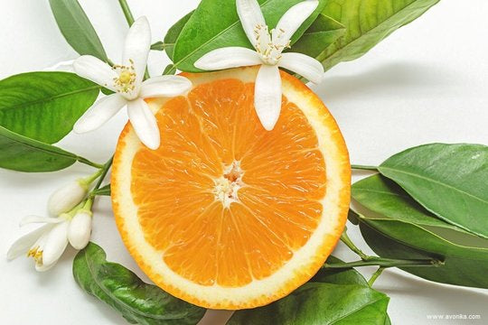 Parfum fleur d'oranger