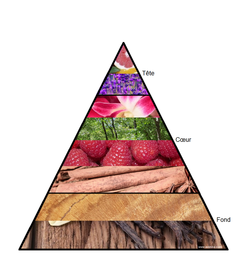 Pyramide Olfactive